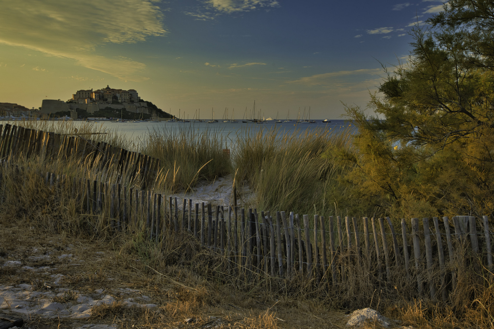 Calvi, la citadelle - 2, Corse 2022