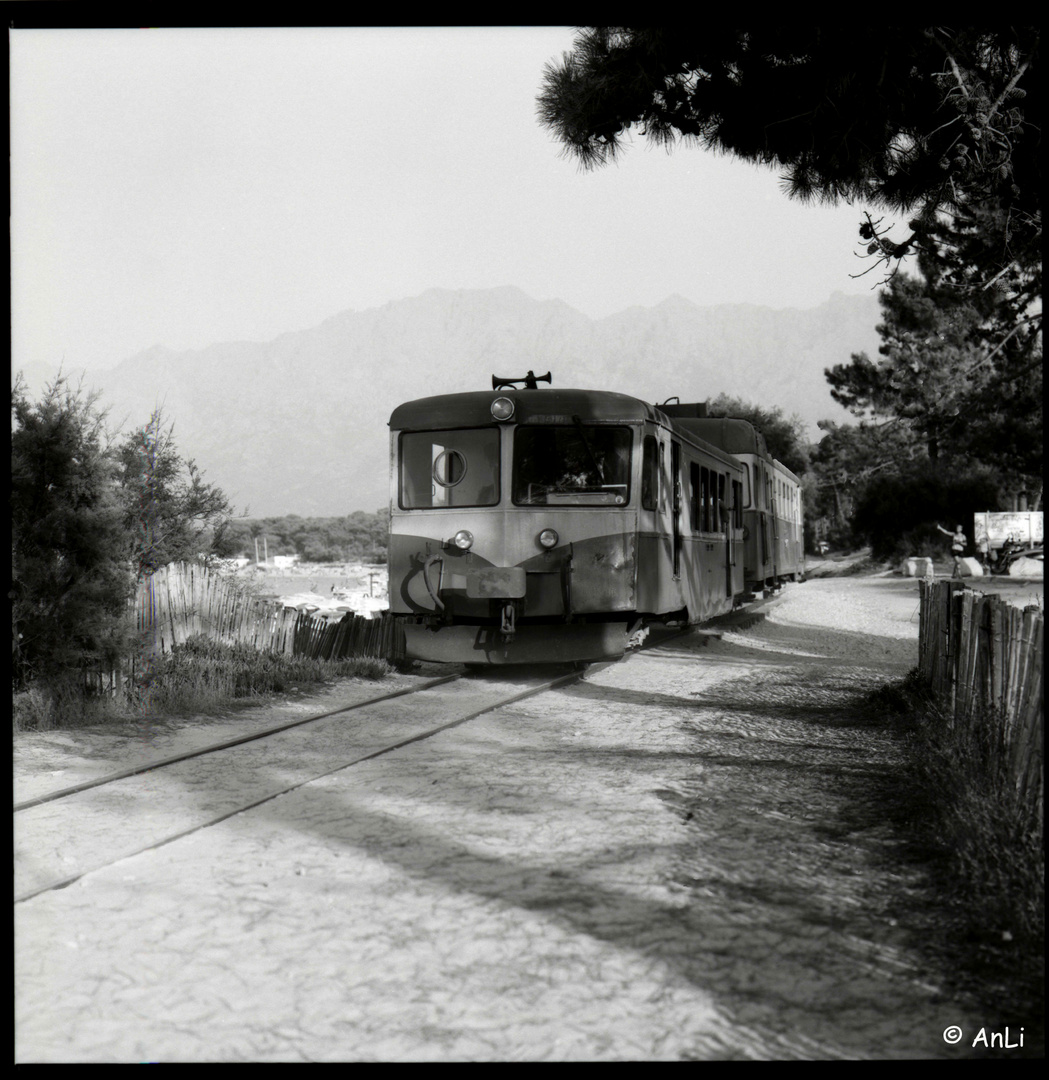 Calvi - Tramway de la Balagne