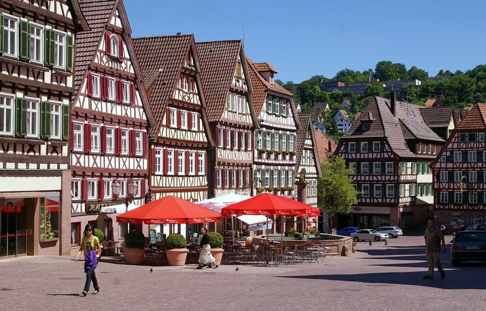 Calw