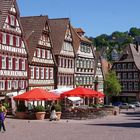 Calw