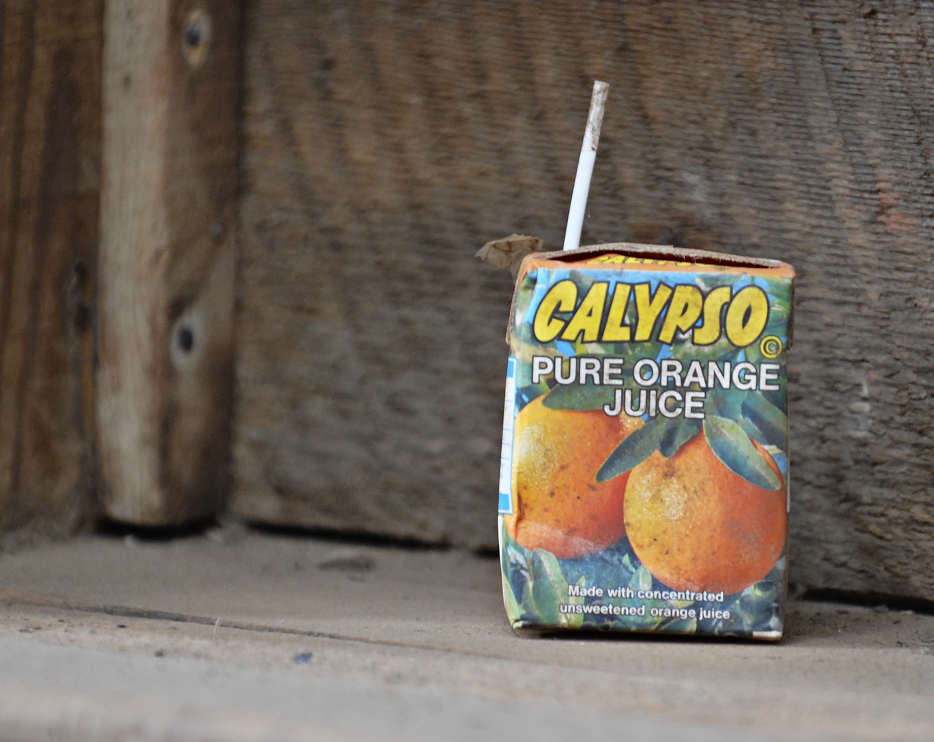 Calypso!