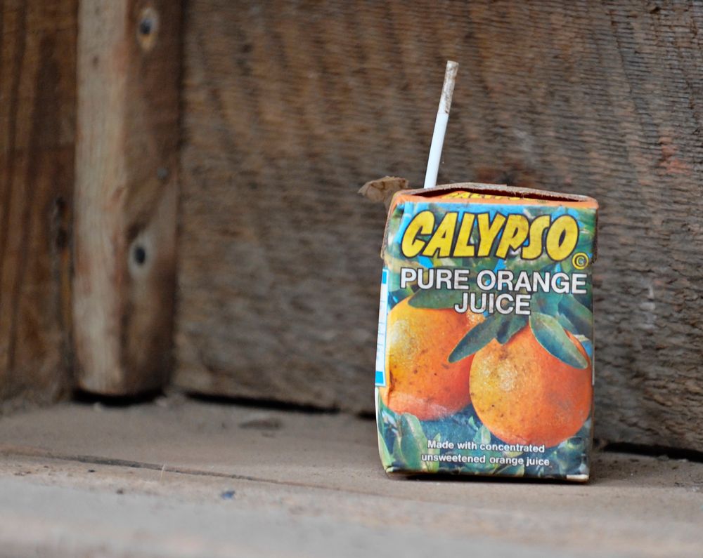 Calypso!