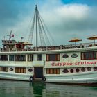 Calypso Cruiser goes the Halong tour