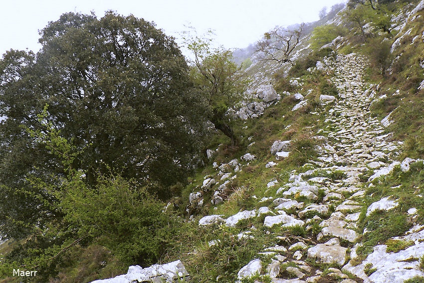 Calzada romana para burros de carga. Asturias 2007. Picos de Europa.