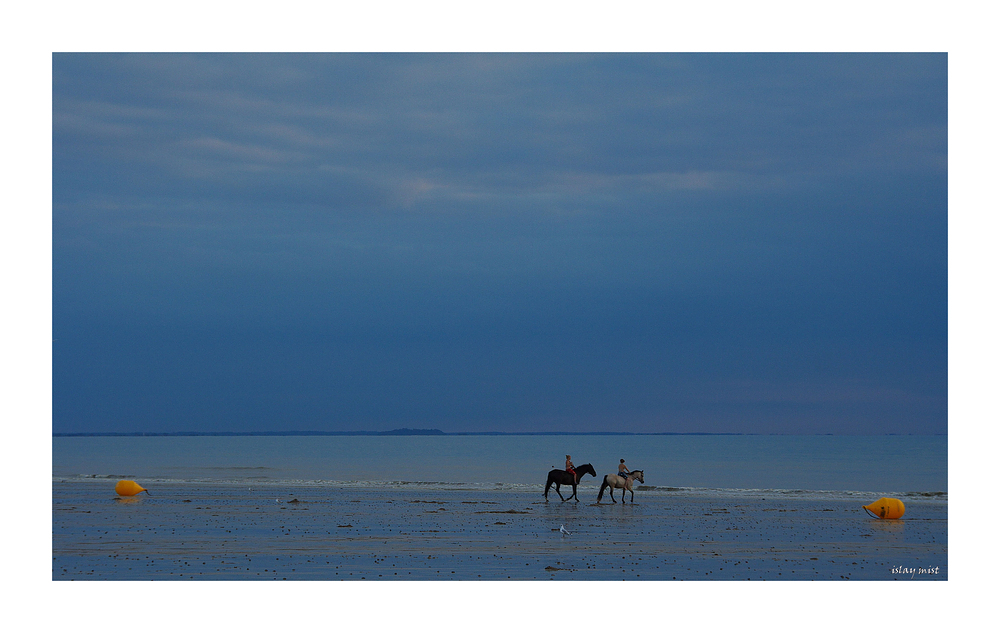 camaïeu de bleu........