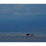 camaïeu de bleu........