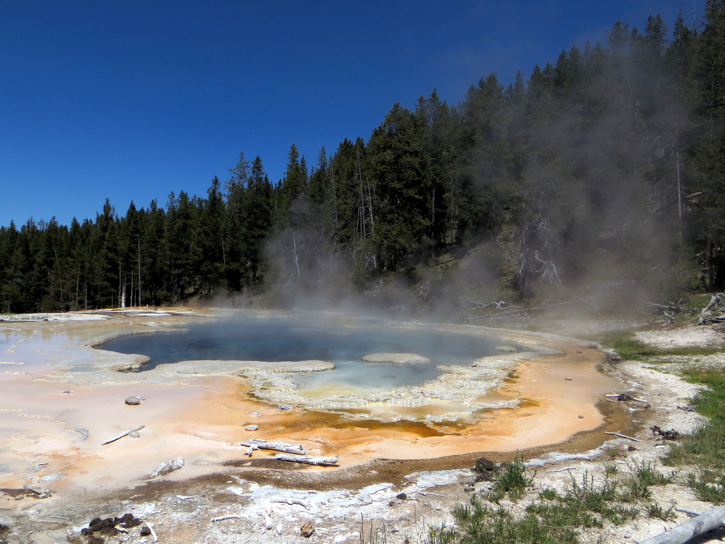 Camaïeu de couleurs à Yellowstone