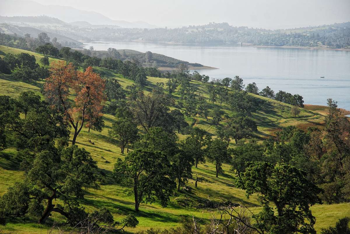 Camanche Reservoir