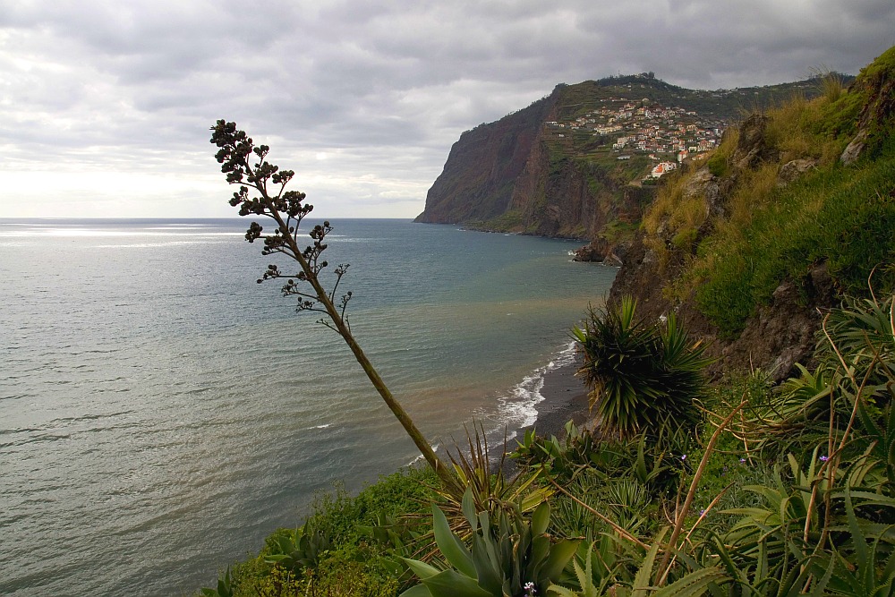 Camara de Lobos