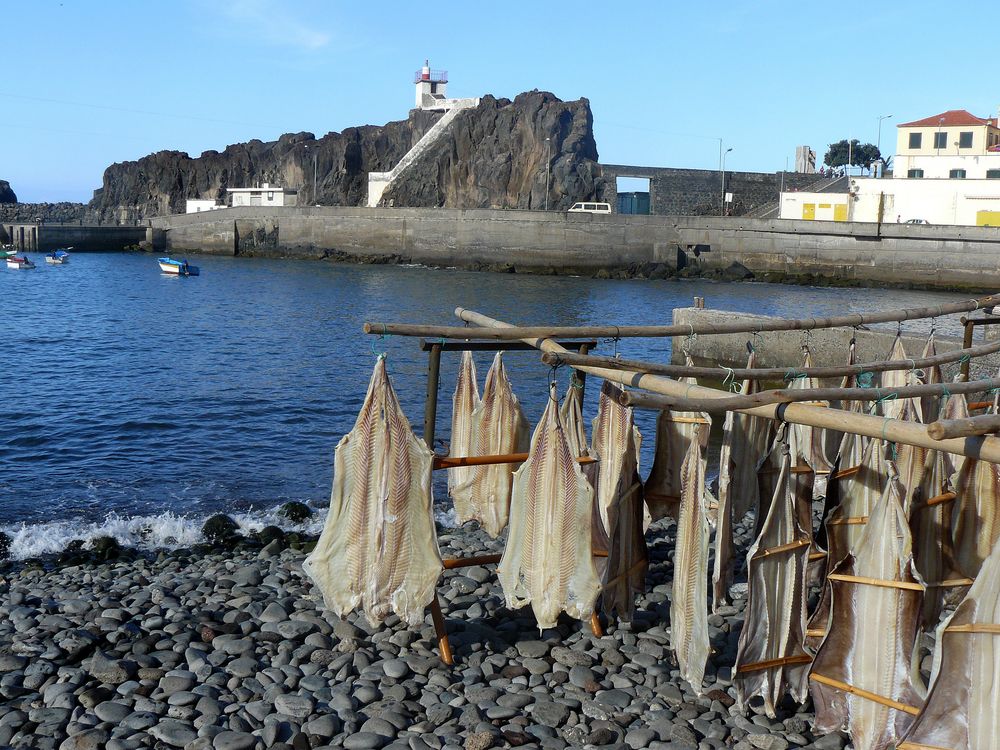 Camara de Lobos