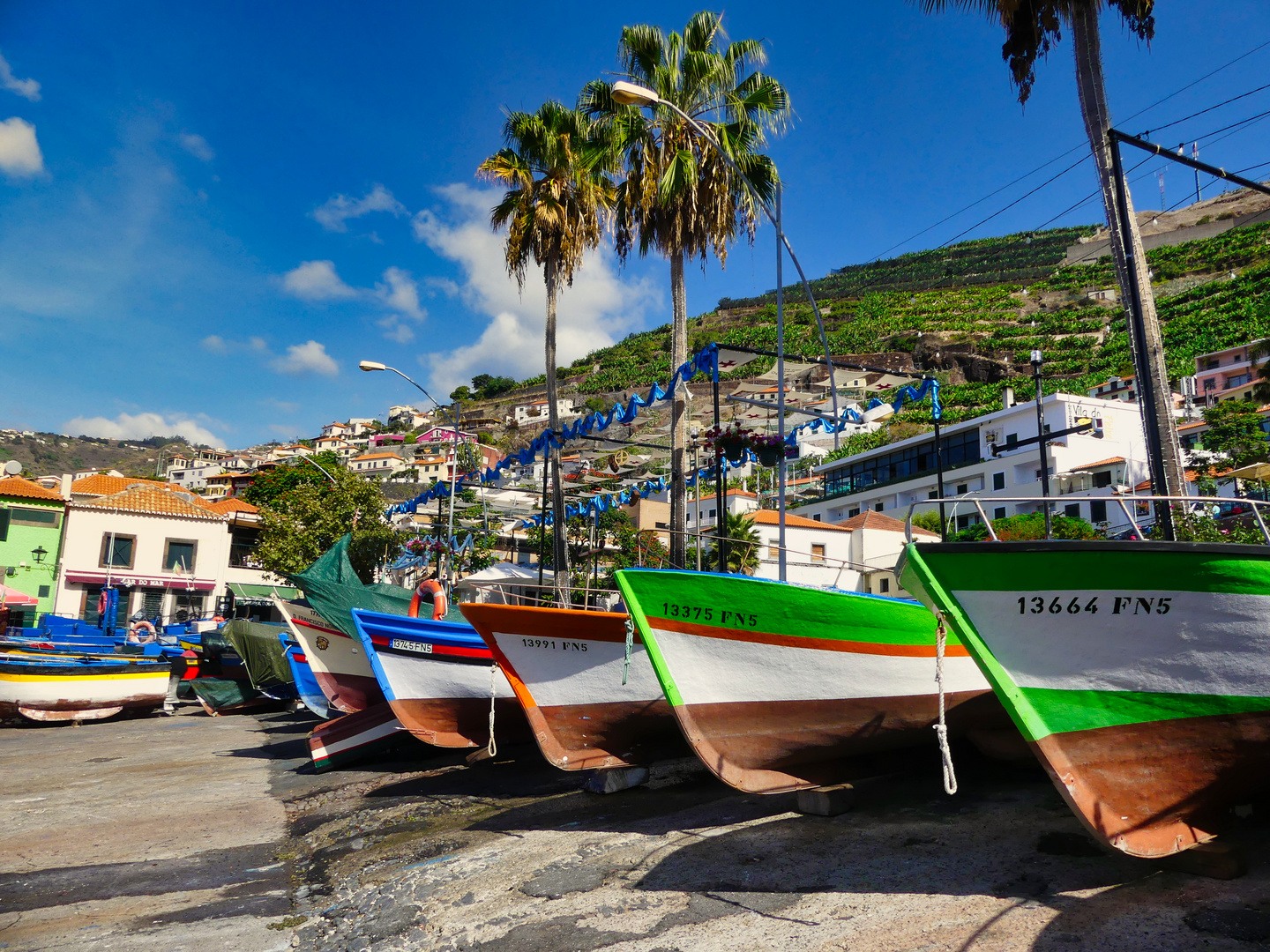 Camara De Lobos