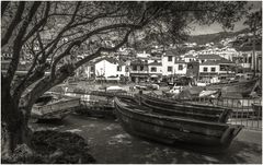Camara de Lobos sw