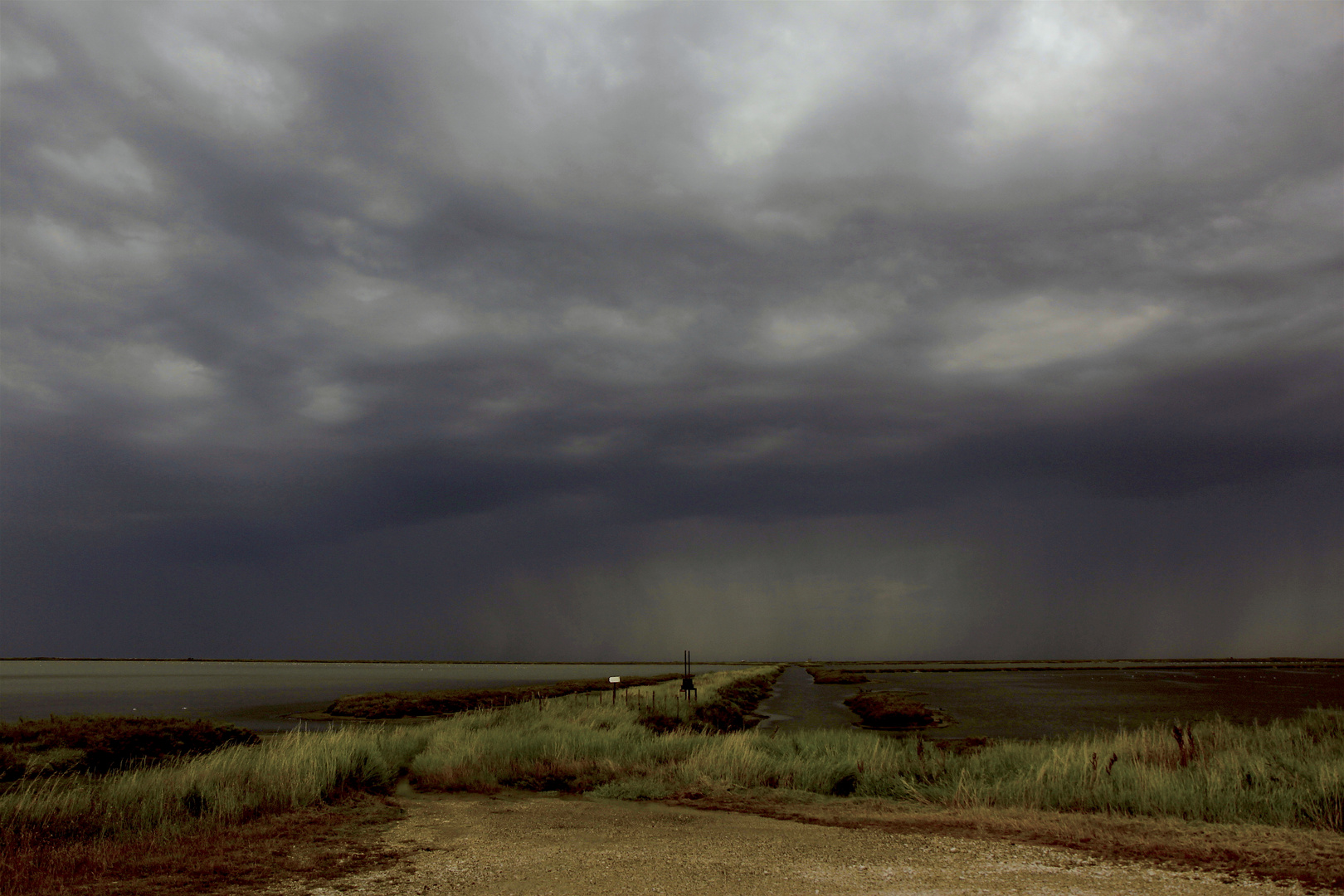 Camargue