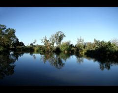 ... camargue 2011 ...