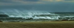 Camargue