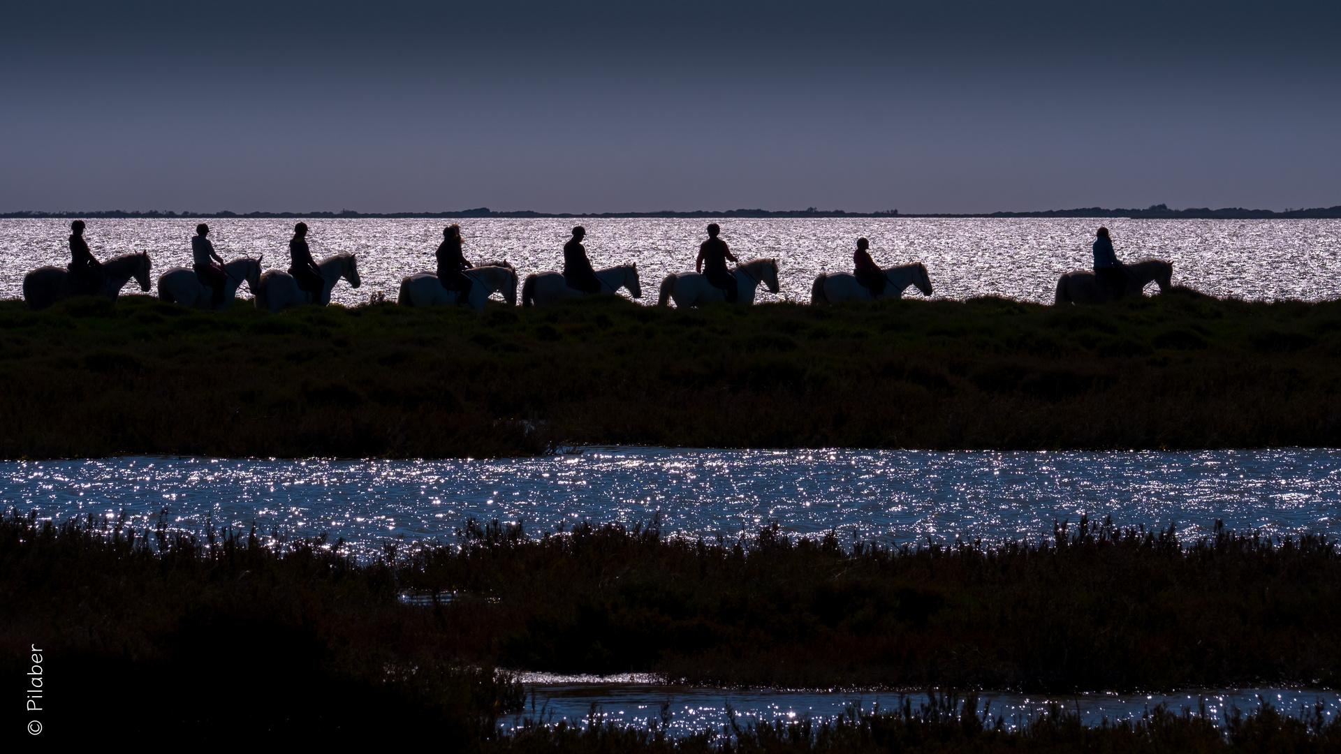 Camargue 28