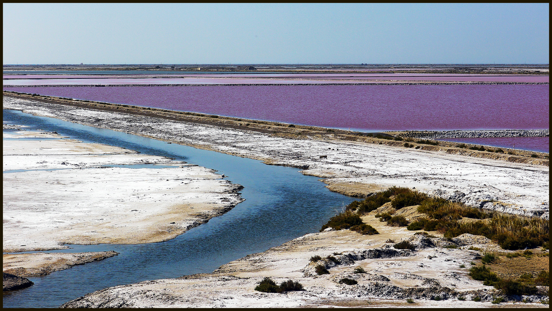 Camargue