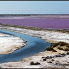 Camargue