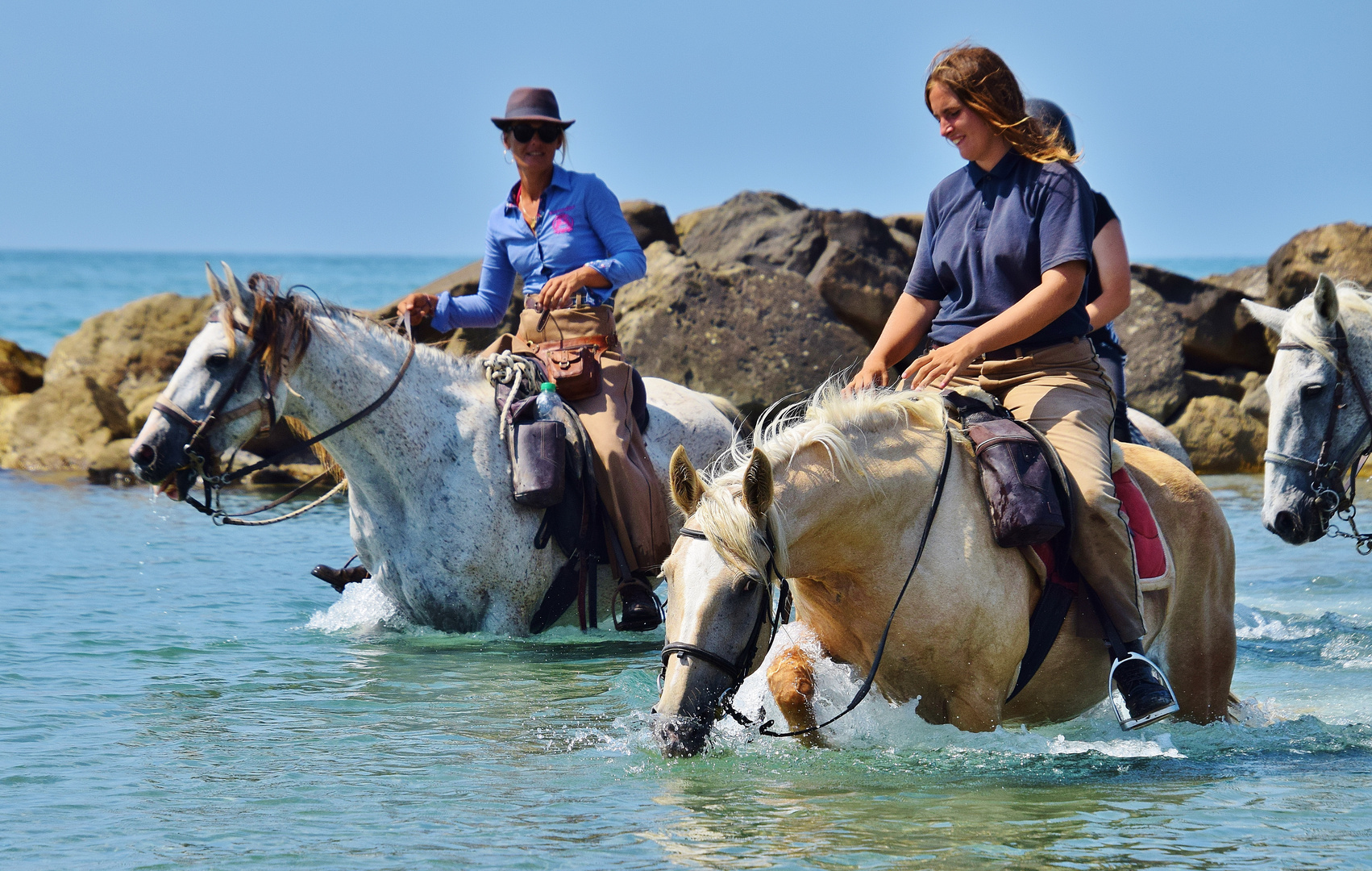 Camargue