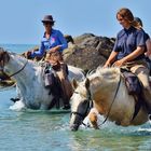 Camargue