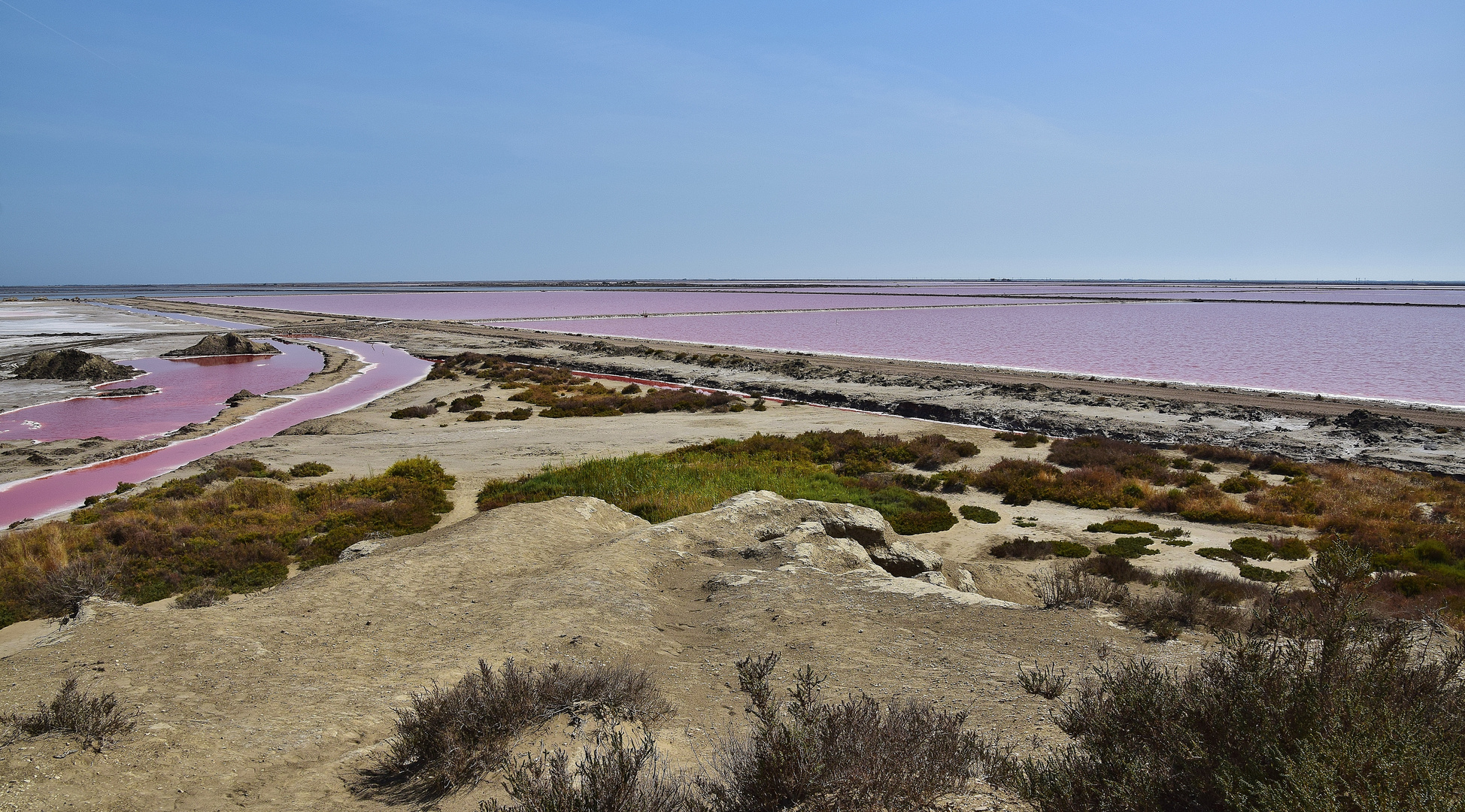 Camargue 4