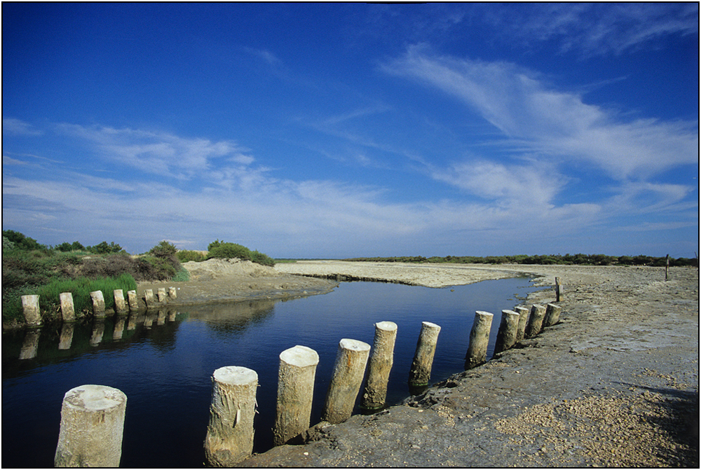 Camargue ...