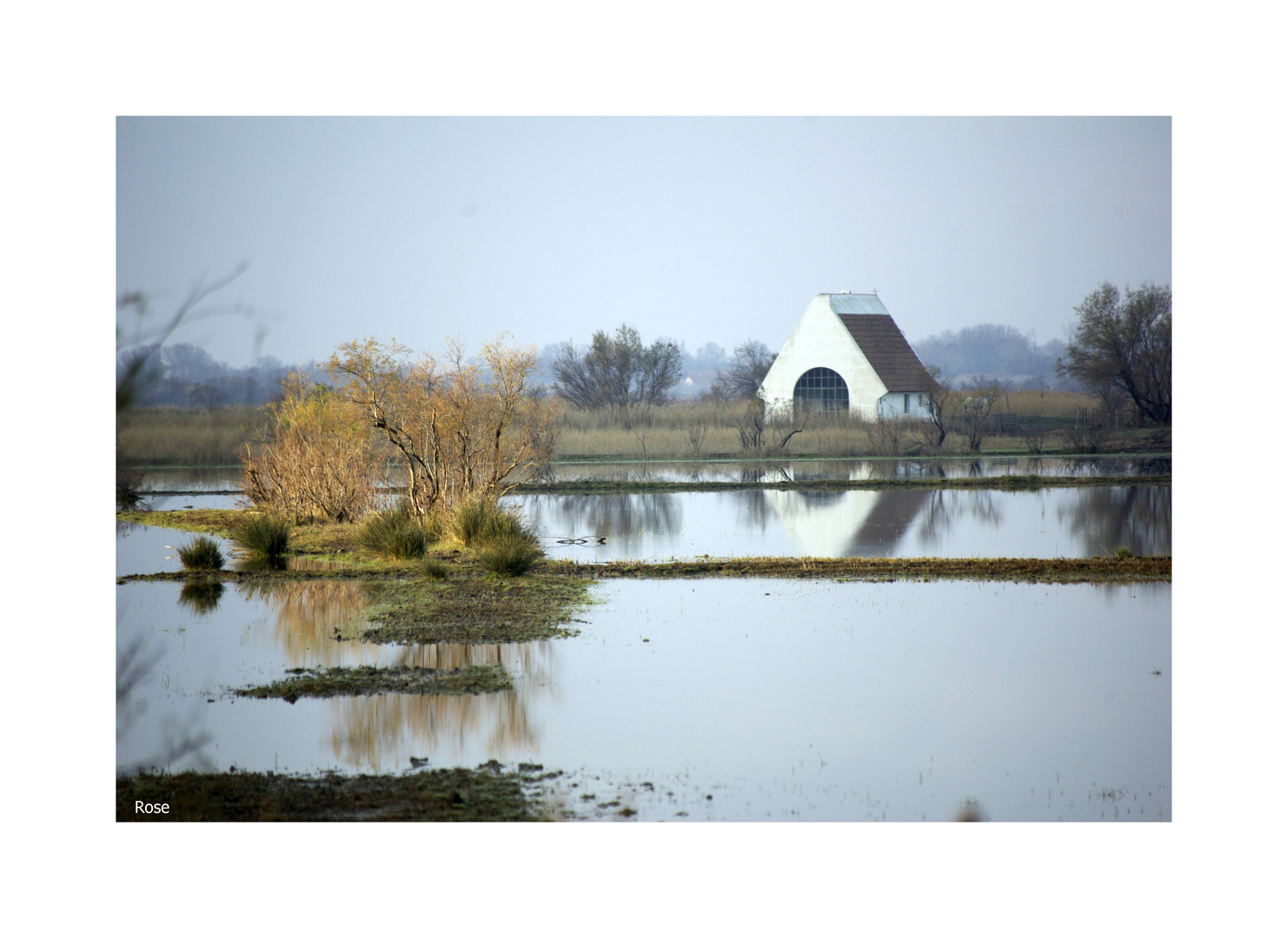 Camargue...