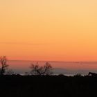 ***Camargue***