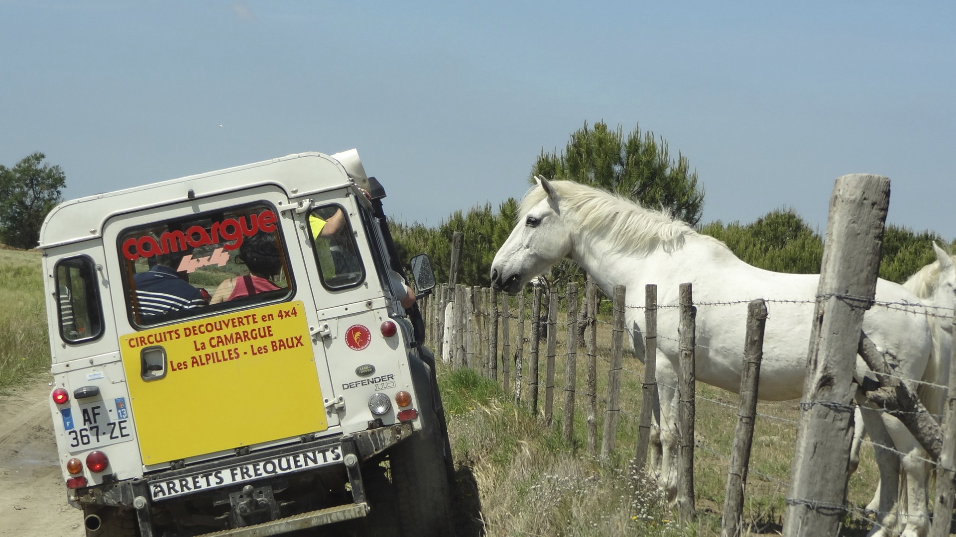 Camargue