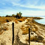 Camargue