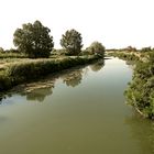 Camargue