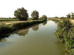 Camargue