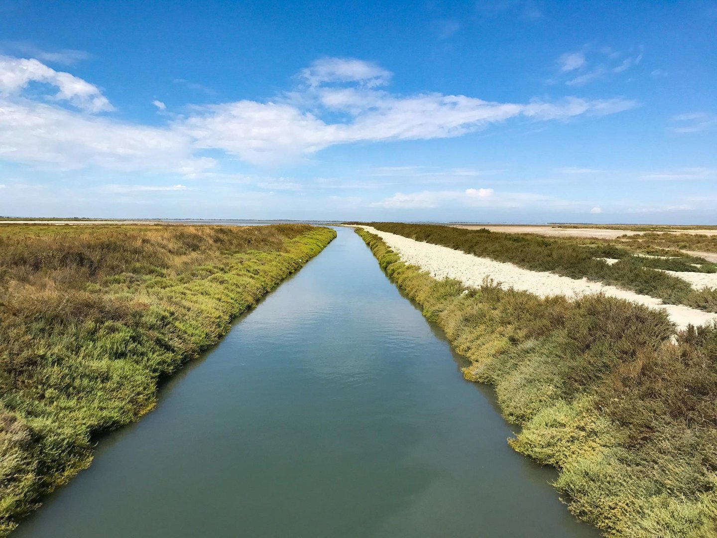 Camargue