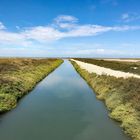 Camargue