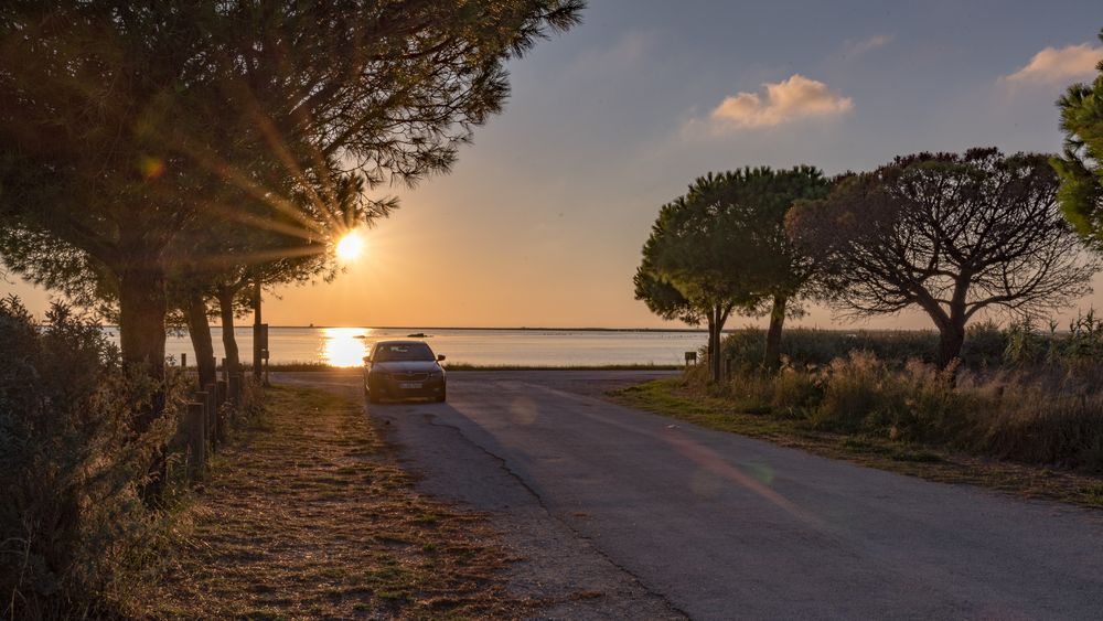 Camargue