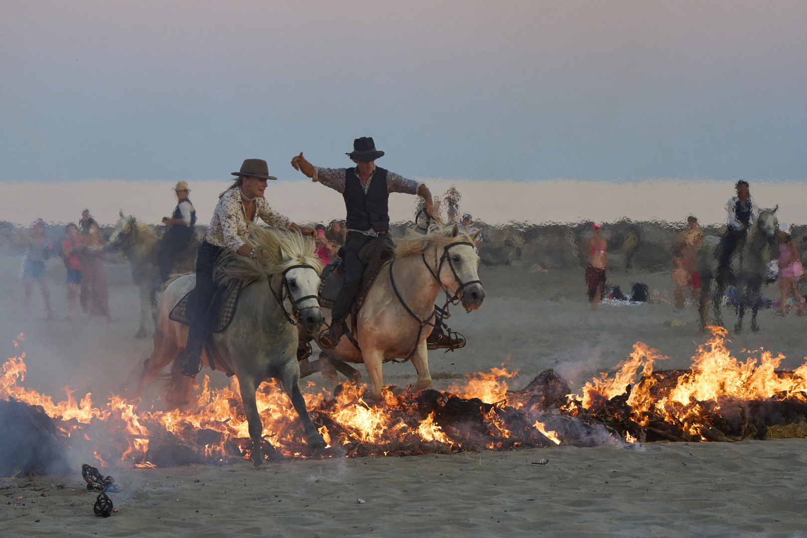 Camargue 