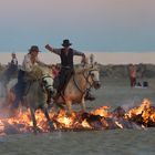 Camargue 