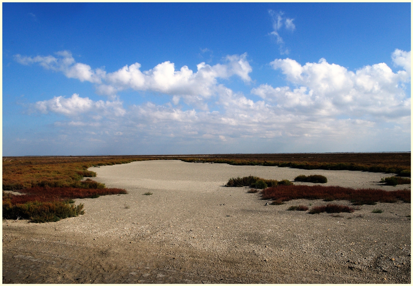 Camargue