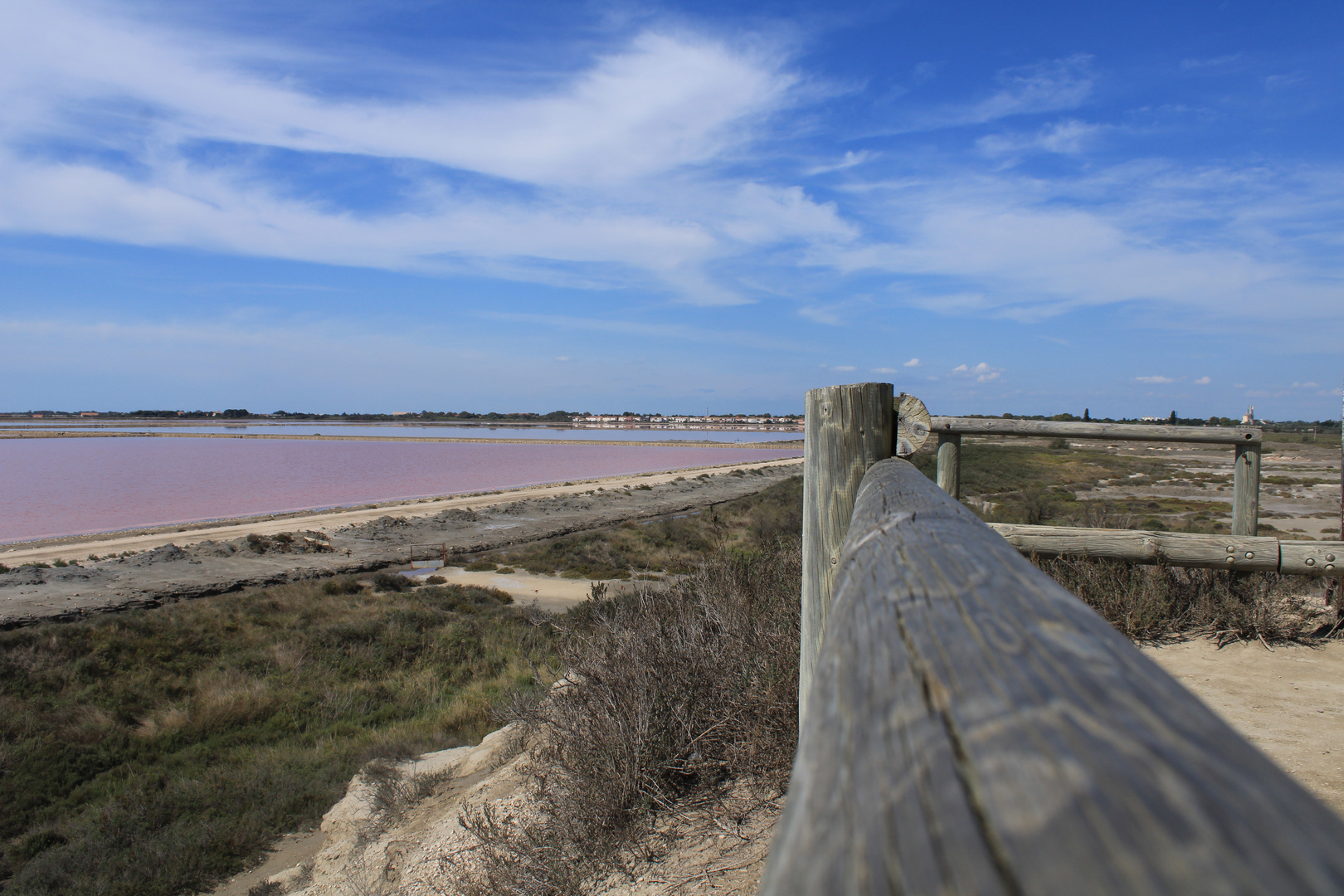 Camargue