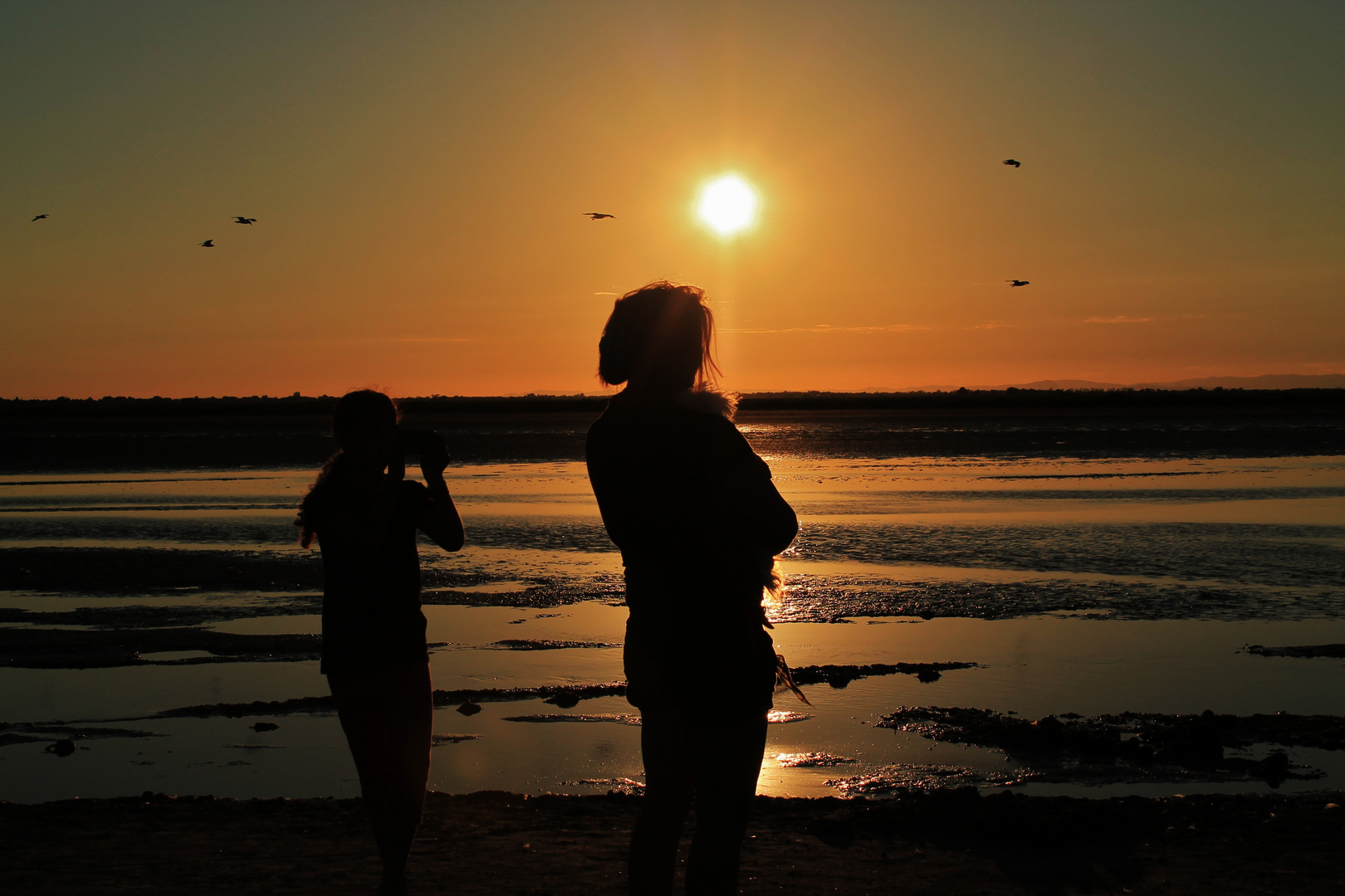 Camargue