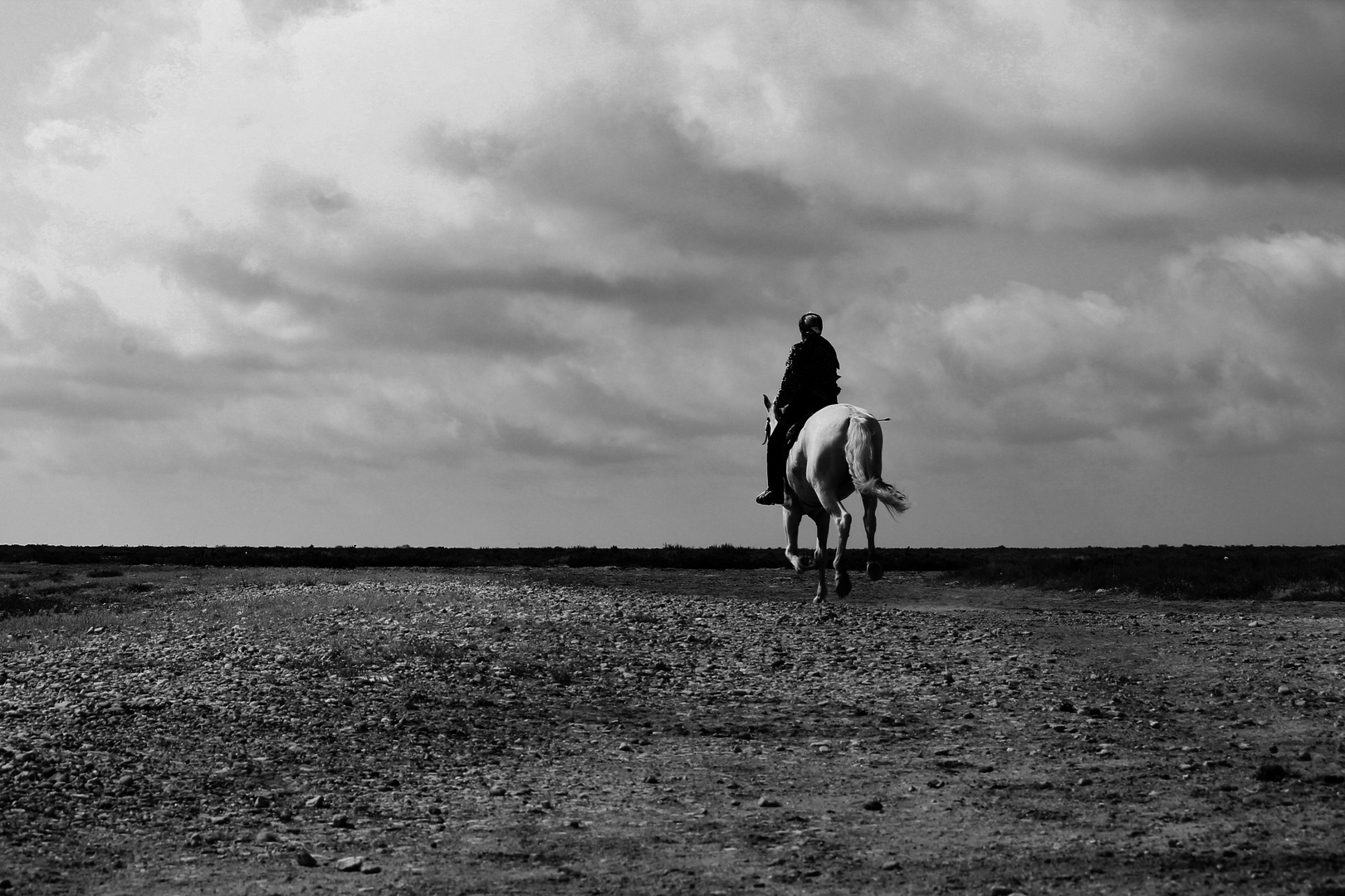 Camargue