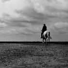 Camargue