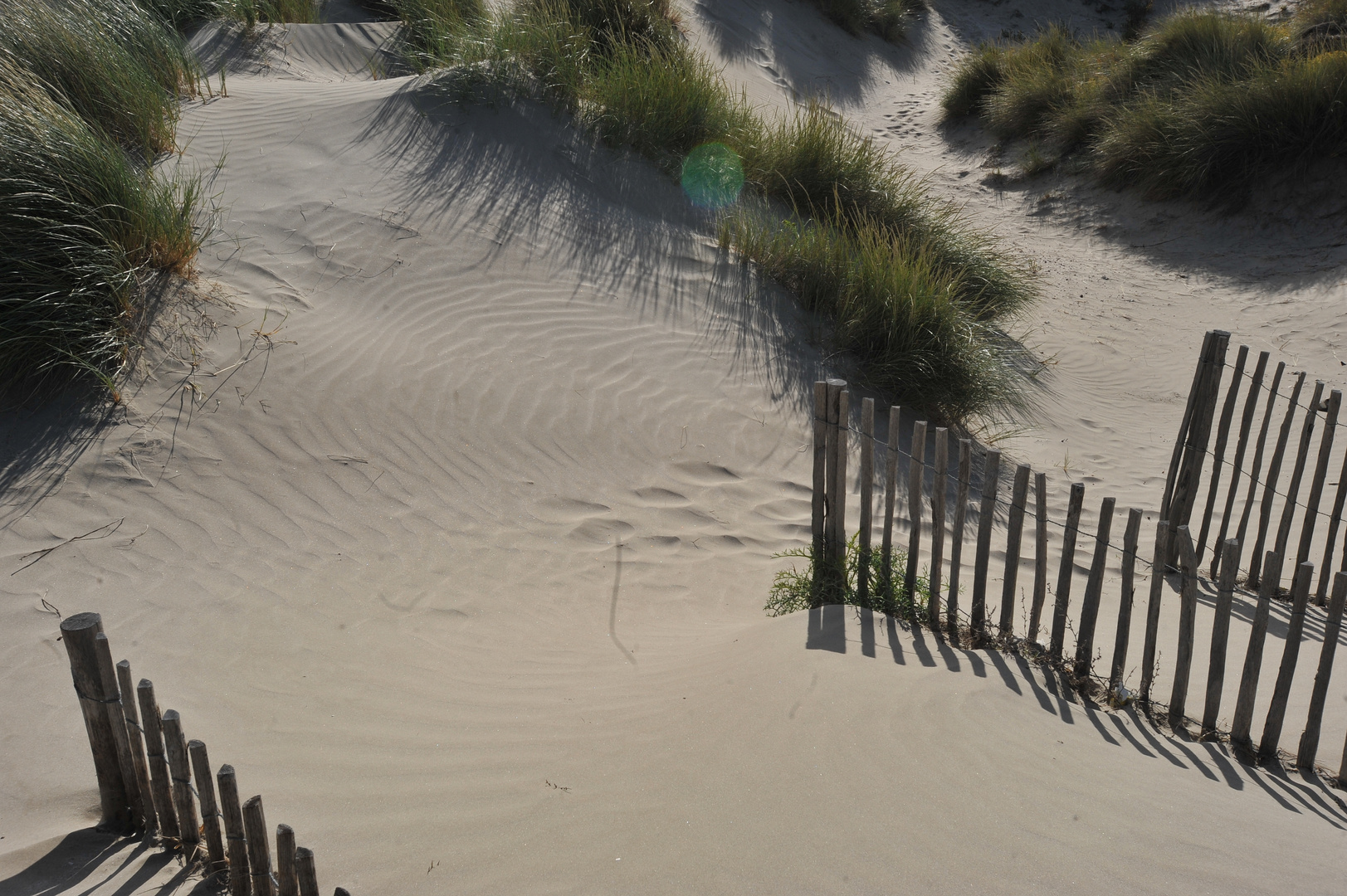 CAMARGUE