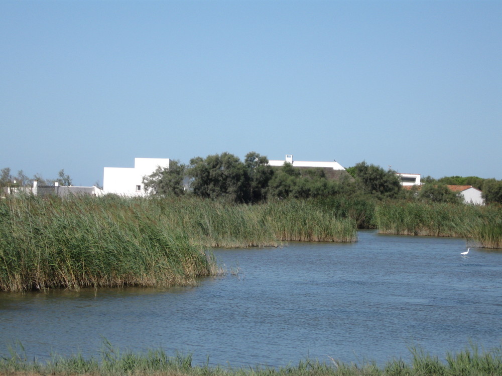 Camargue