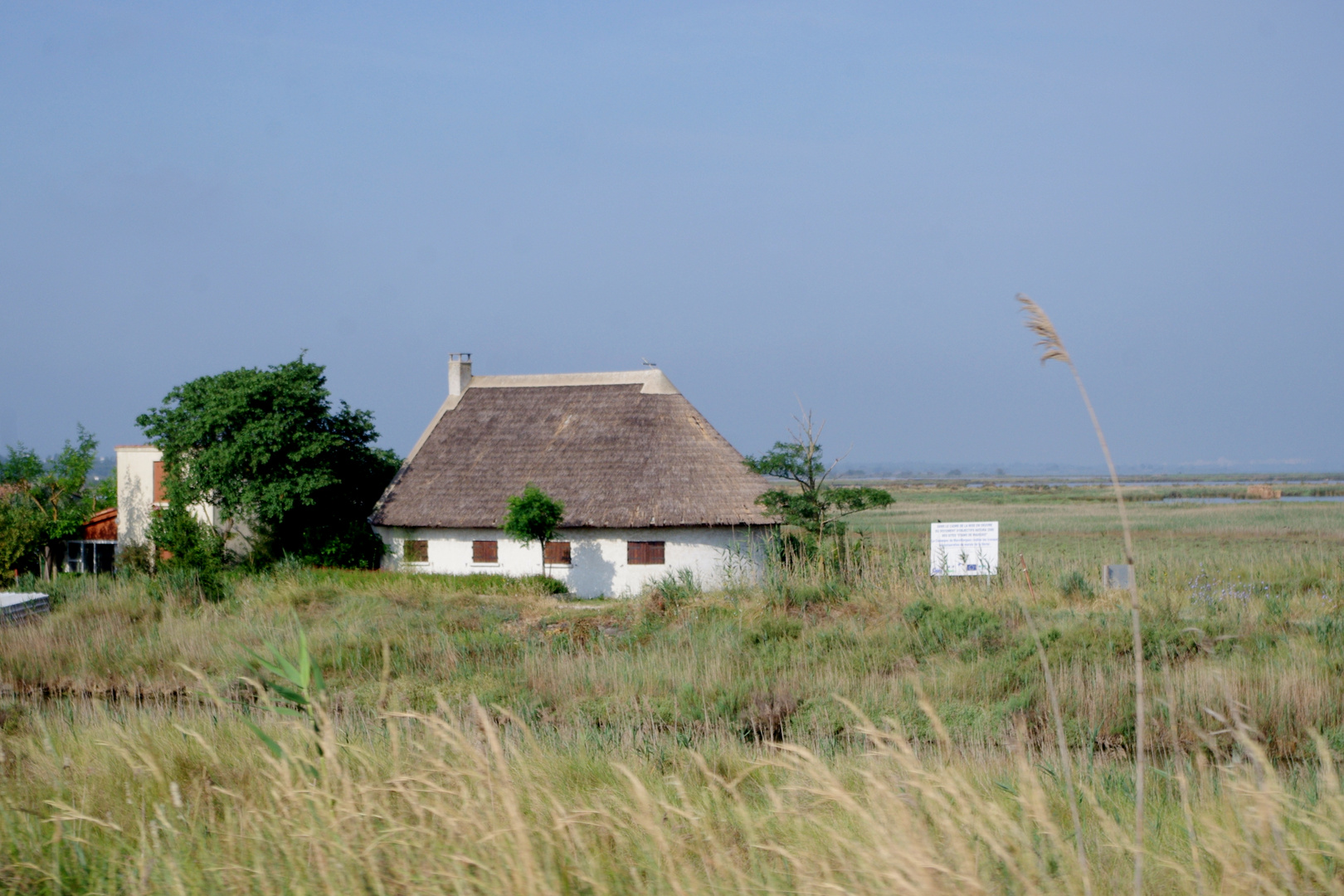 Camargue ....