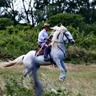 Camargue-Cowboy