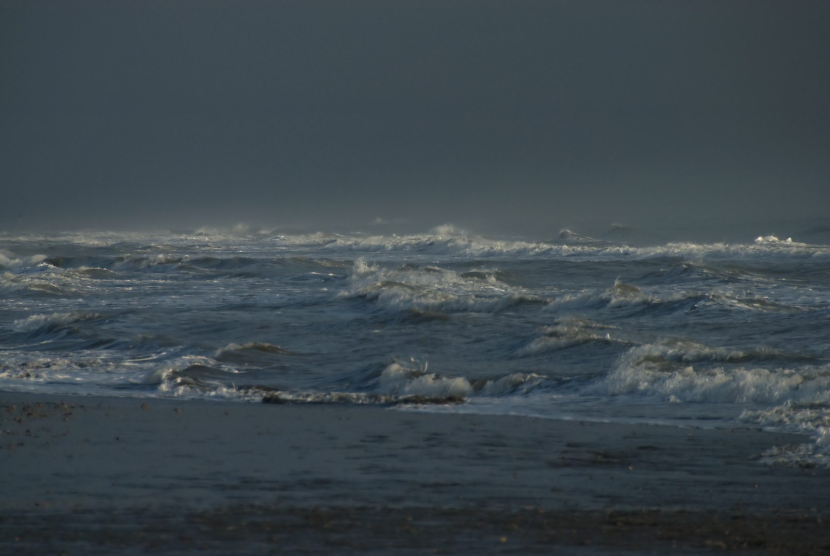 Camargue Dezember 2009