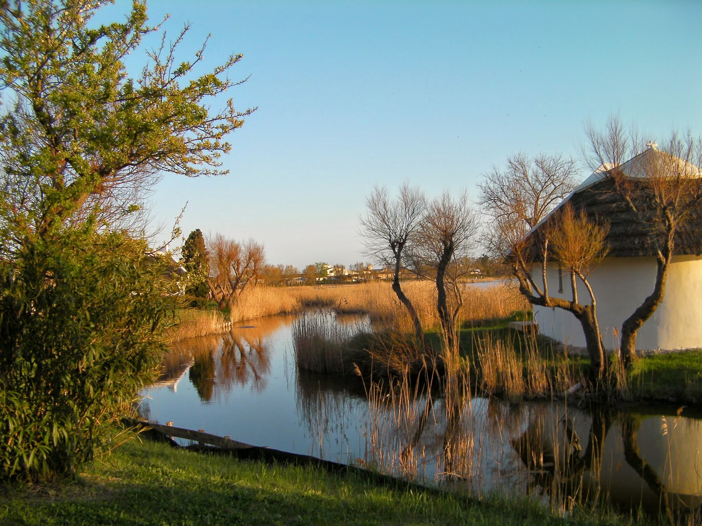 Camargue