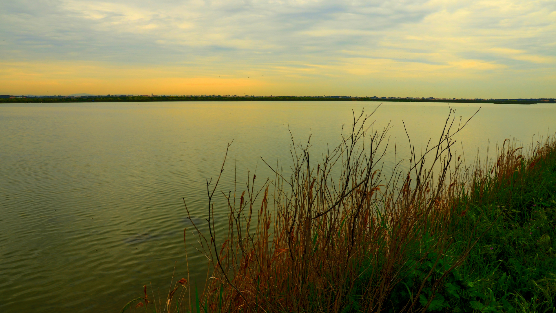 CAMARGUE