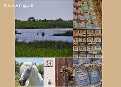Camargue Eindrücke